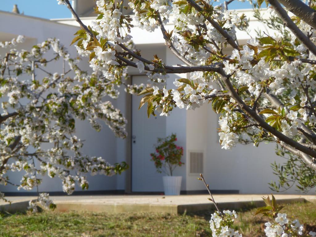 Il Giardino Dei Ciliegi - Turi